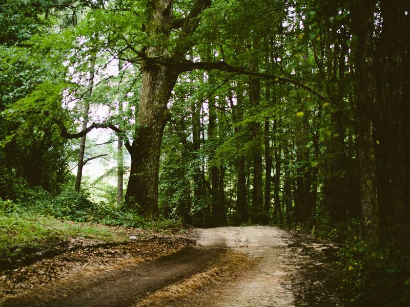 sudoku brain exercise screenshot 2